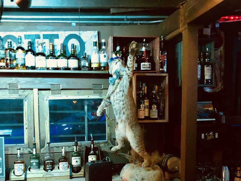 Bobcat Teddy's Icehouse interior