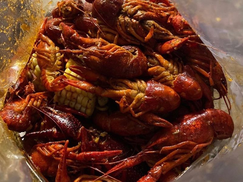 Bobcat Teddy's Icehouse food